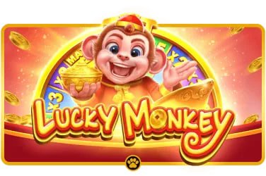 633bet
